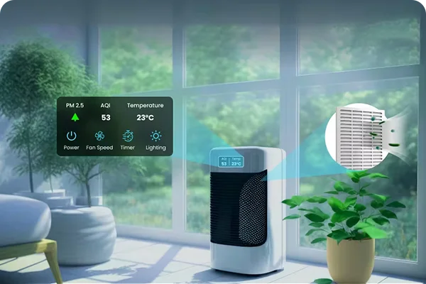 Purified healthy air in your home