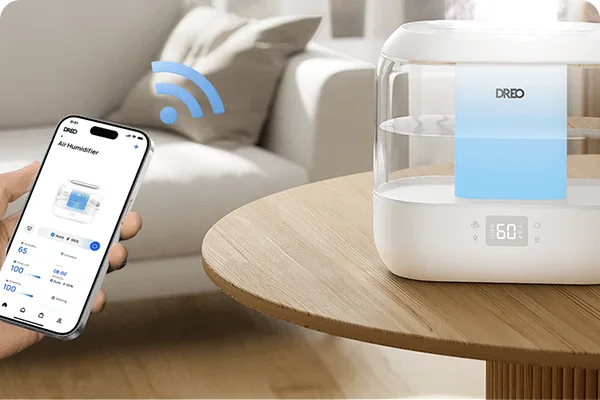 The most suitable humidity at any season and in any room