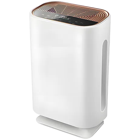 Smart Air Purifier 10