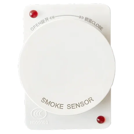 Smoke Sensor 12
