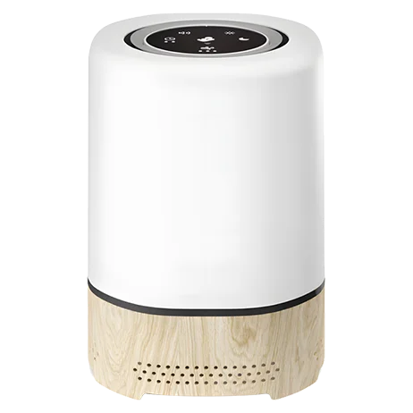Smart Air Purifier 13