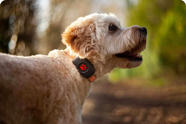 Track your valuables in a second