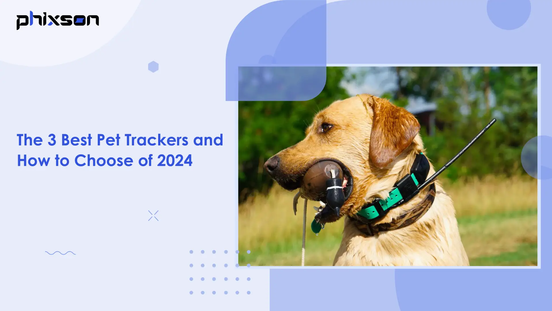The 3 Best Pet Trackers and How to Choose of 2024