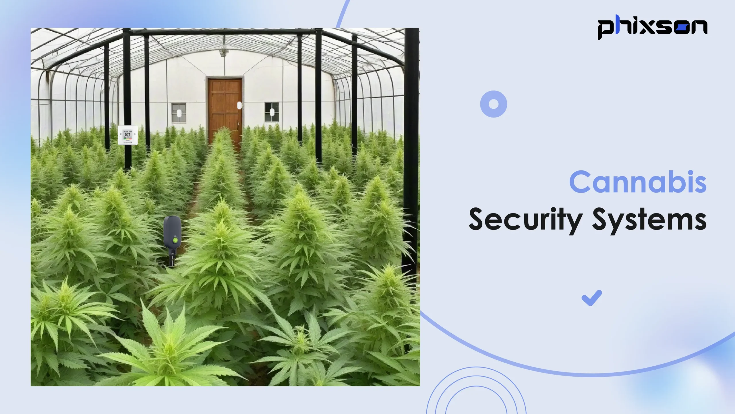 Cannabis Security Systems